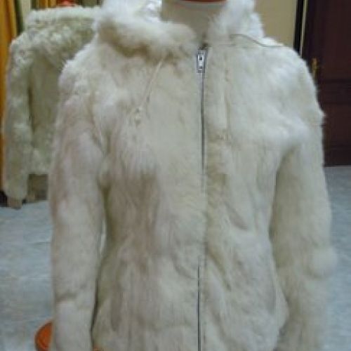 1  Aspecto inicial abrigo (delantero)