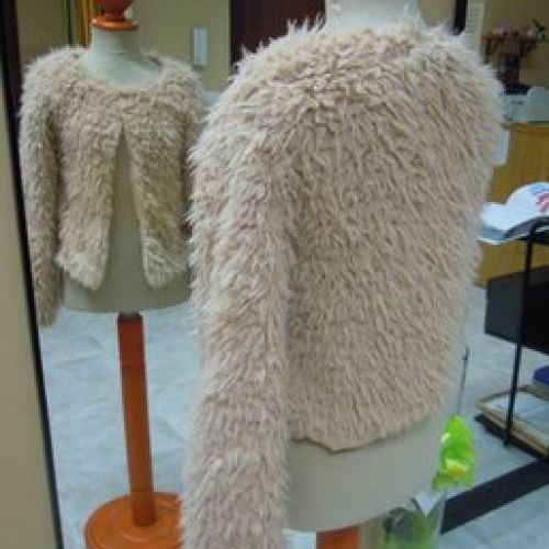 1  Aspecto inicial: abrigo